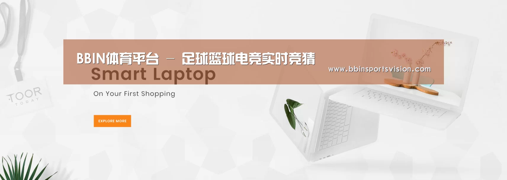 某某网络科技有限公司